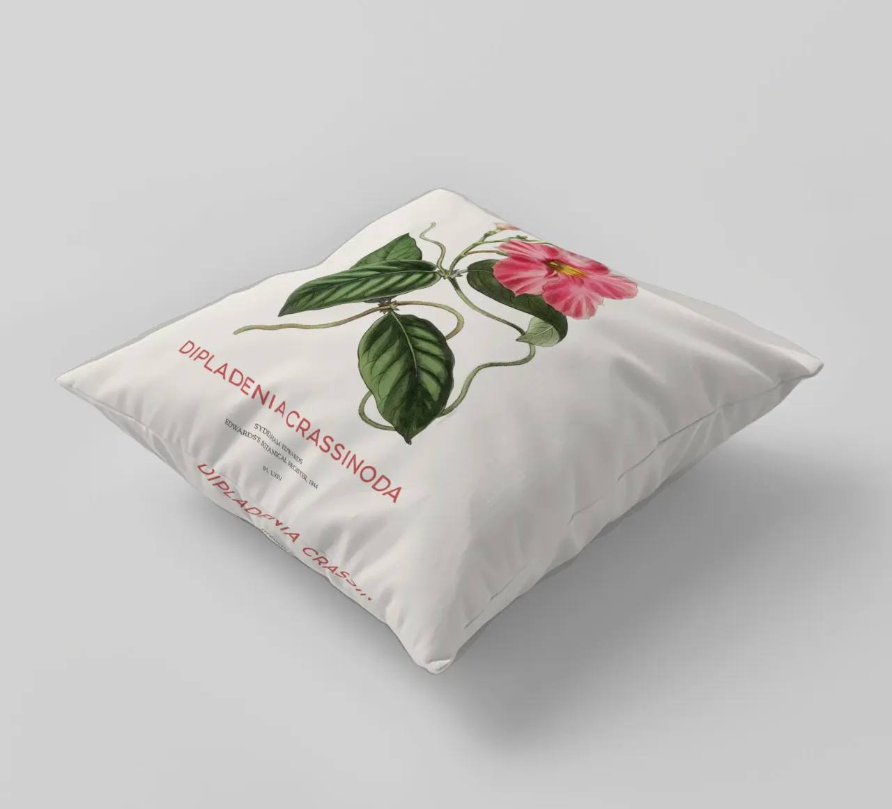 Fiori di mandevilla o Dipladenia Crassinoda cuscino da Vintagrafica