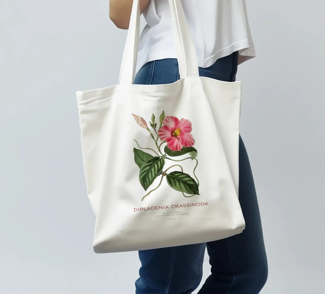 Fiori di mandevilla o Dipladenia Crassinoda borsa in juta da Vintagrafica