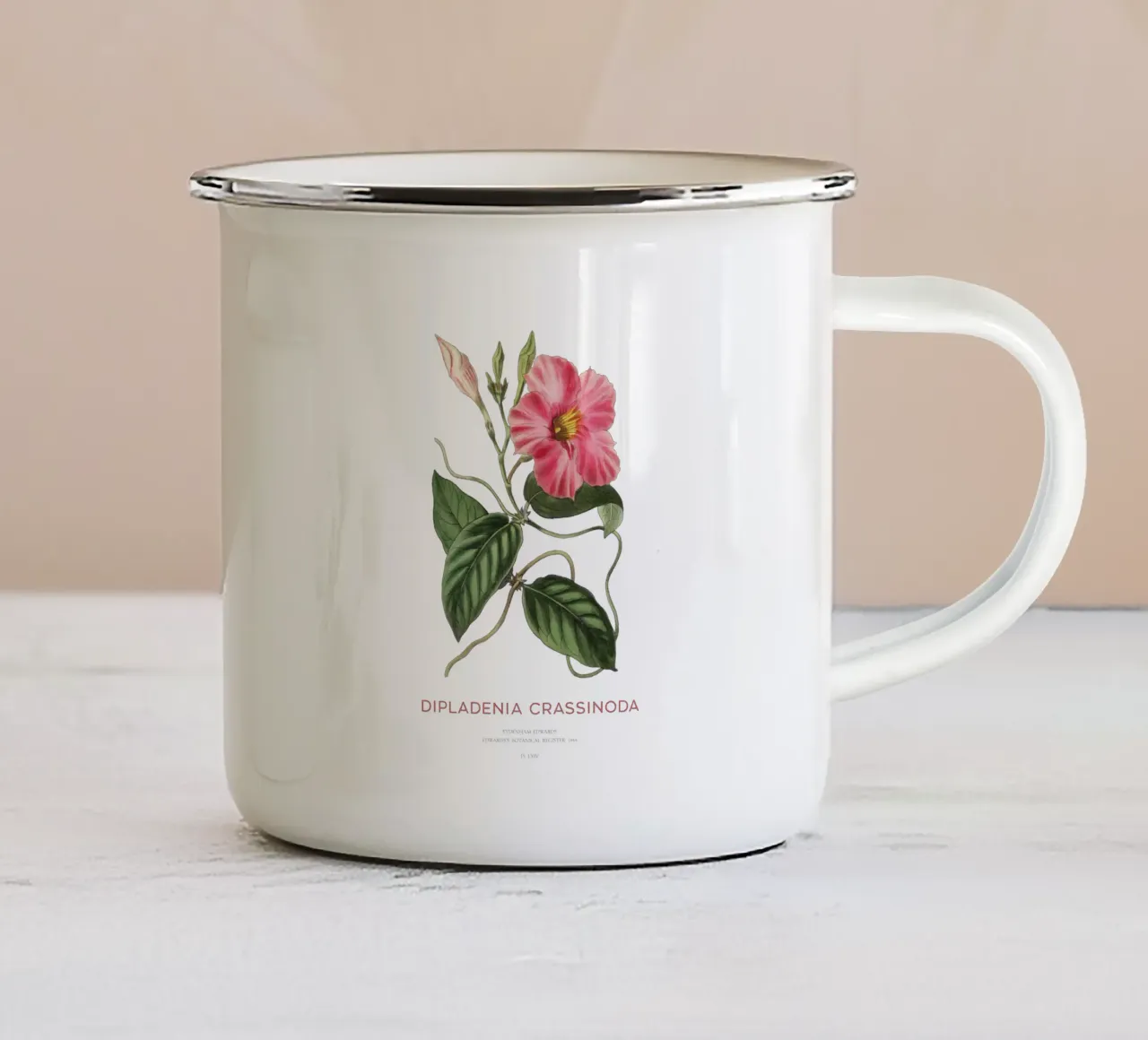 Fiori di mandevilla o Dipladenia Crassinoda tazza in smalto da Vintagrafica
