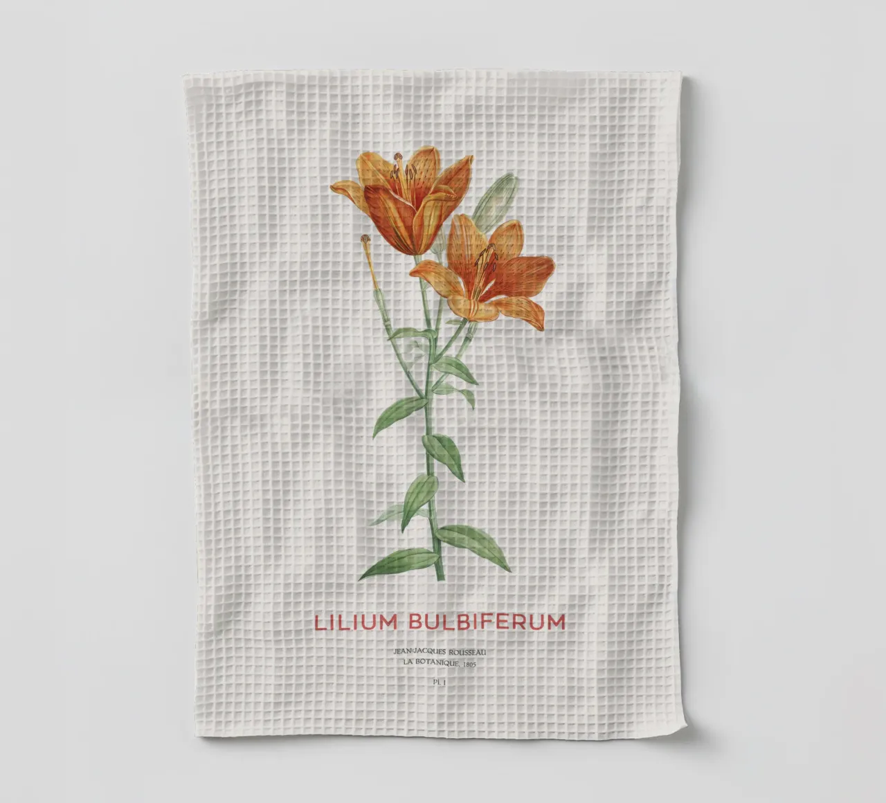 Orangefarbene Lilie oder Lilium bulbiferum Geschirrtuch von Vintagrafica