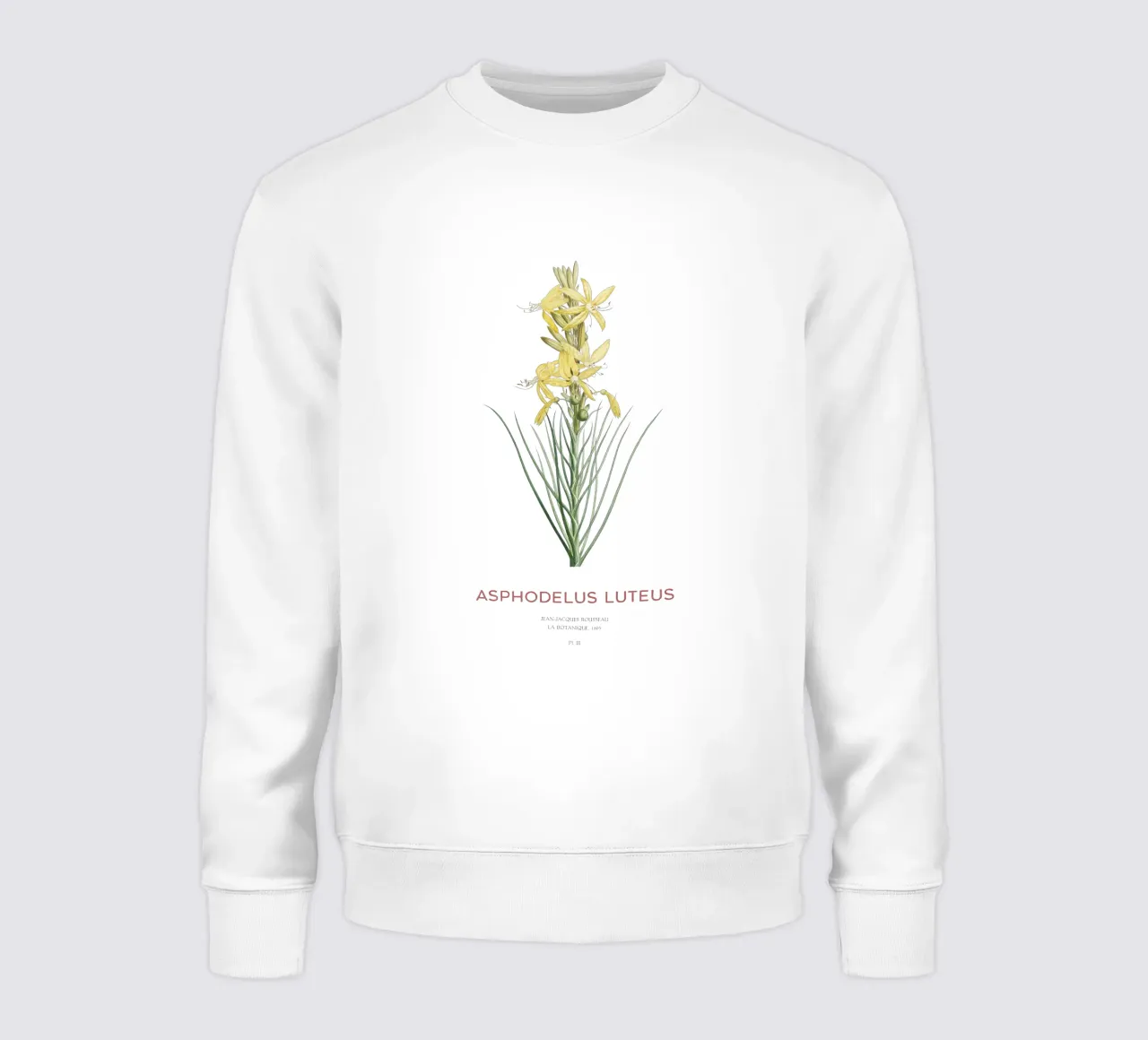 Königsspeer oder Asphodeline lutea Sweatshirt von Vintagrafica