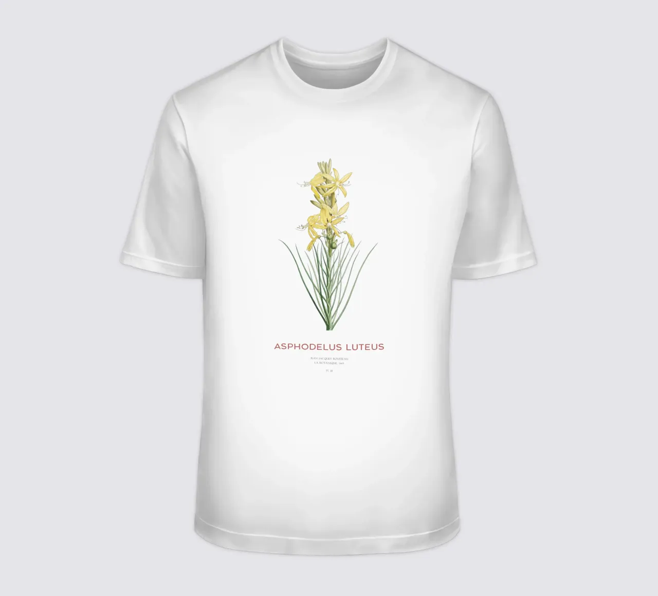Königsspeer oder Asphodeline lutea T-Shirt von Vintagrafica