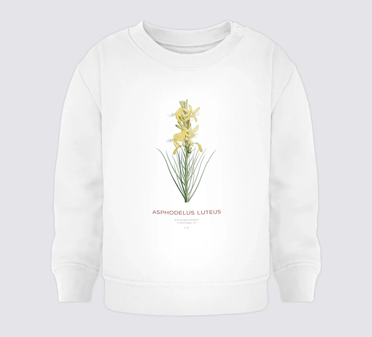 Lancia del re o Asphodeline lutea felpa neonato da Vintagrafica