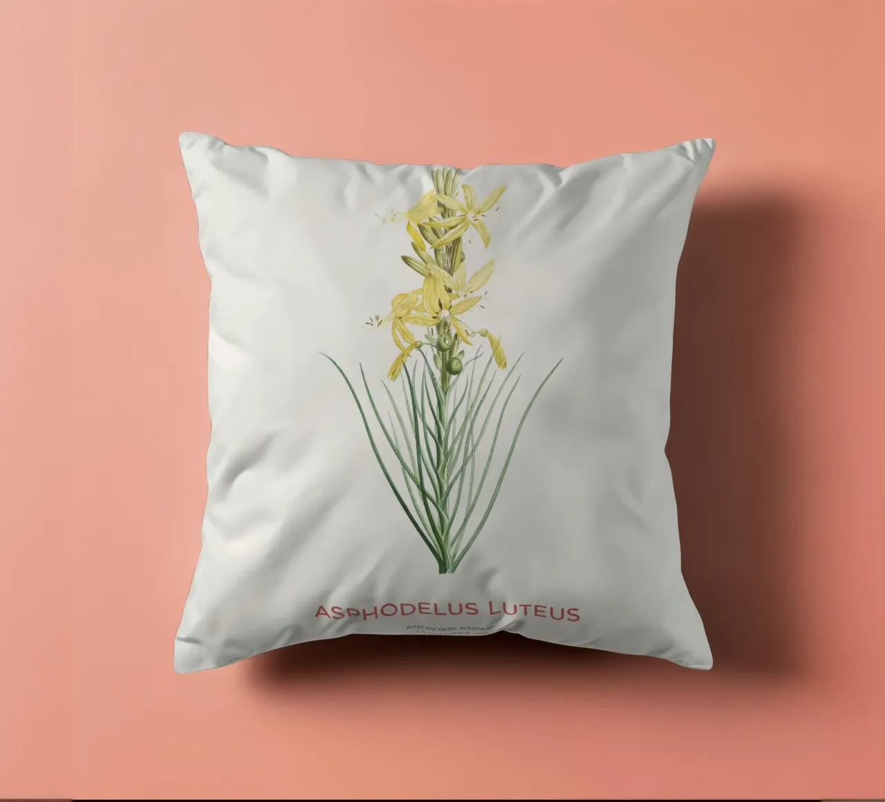 Lancia del re o Asphodeline lutea cuscino da Vintagrafica