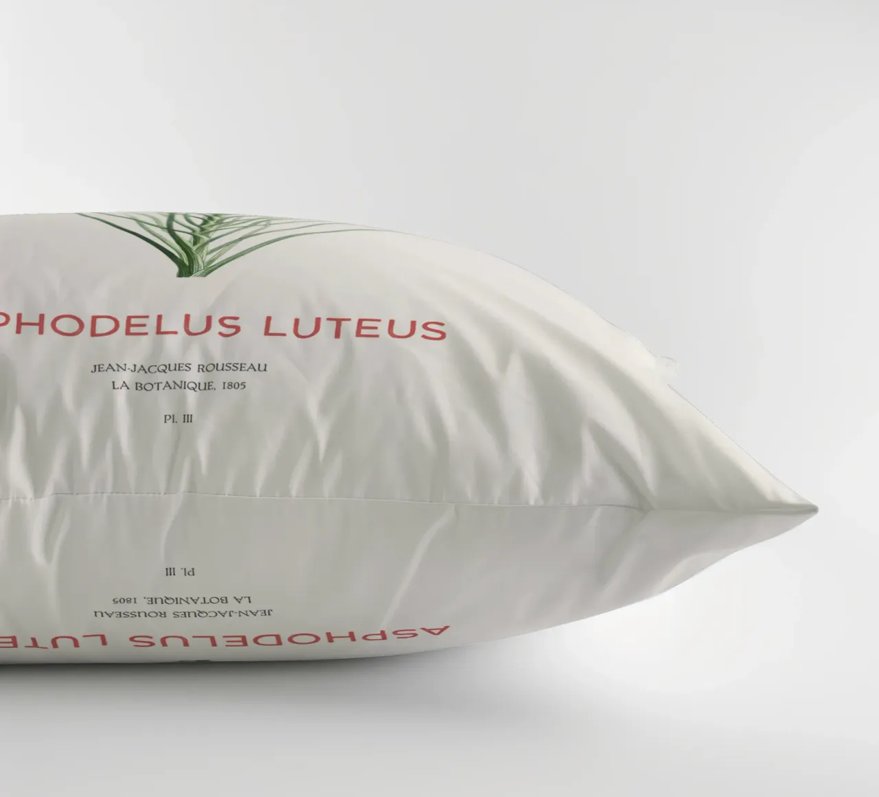 Lancia del re o Asphodeline lutea cuscino da Vintagrafica