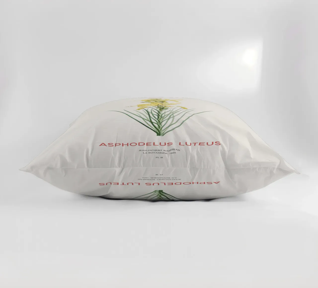 Lancia del re o Asphodeline lutea cuscino da Vintagrafica