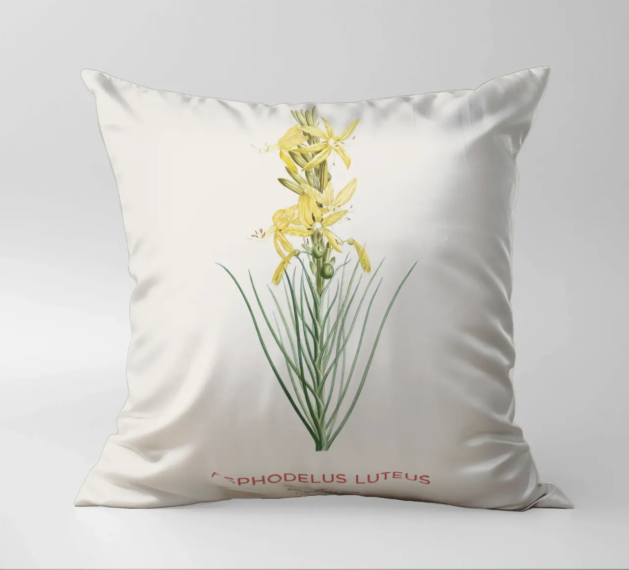 Lancia del re o Asphodeline lutea cuscino da Vintagrafica
