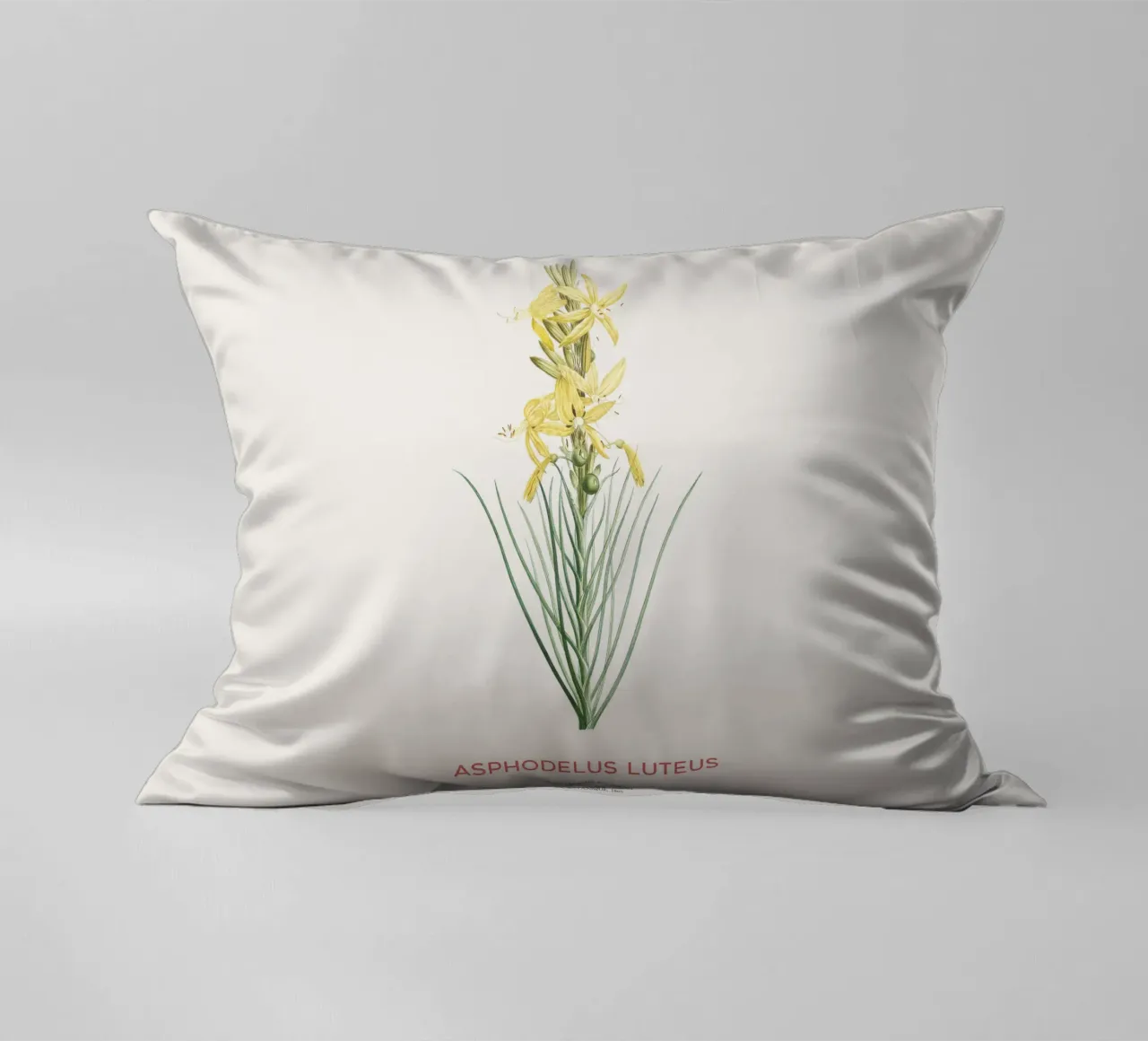 Lancia del re o Asphodeline lutea cuscino da Vintagrafica