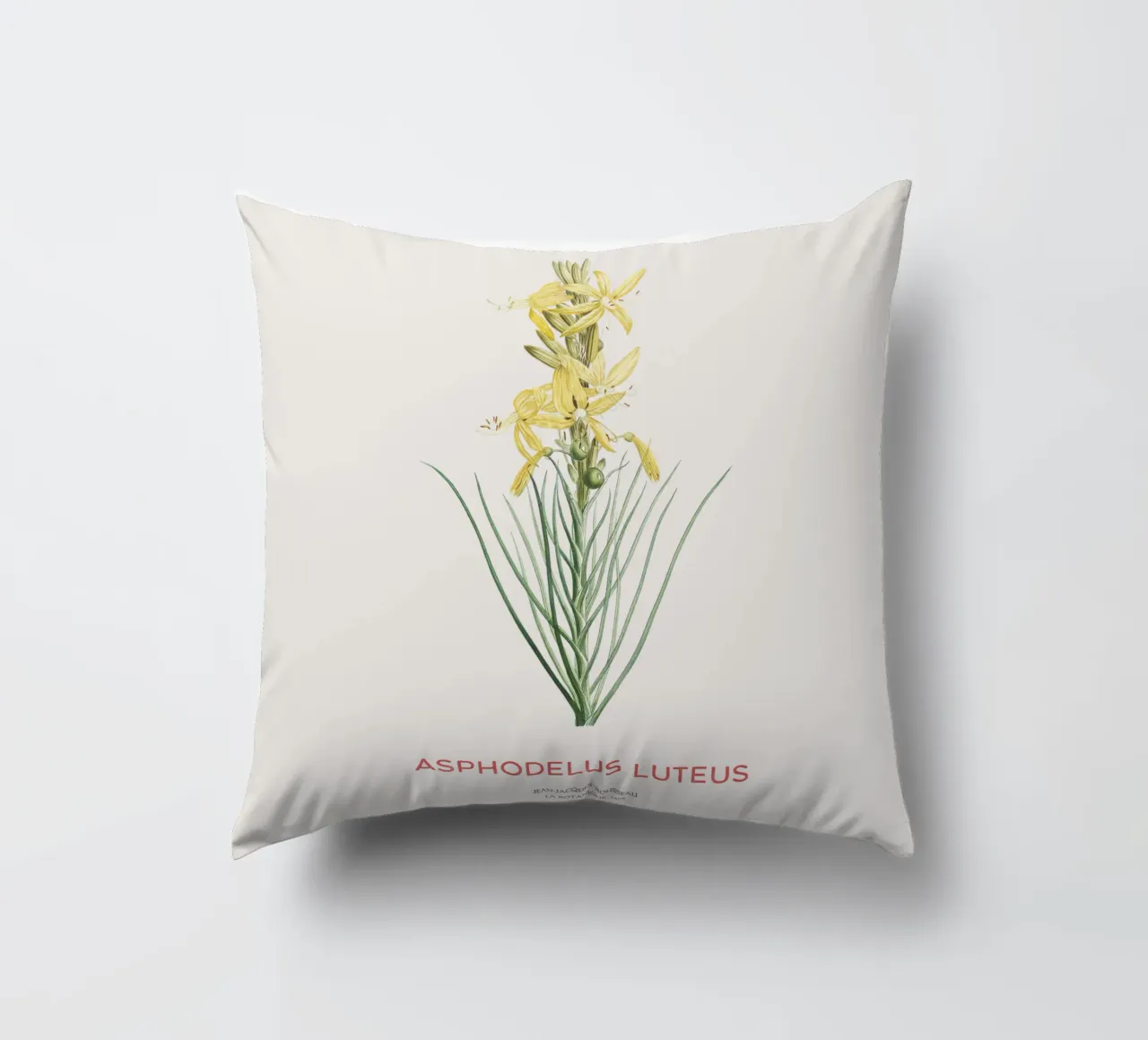 Lancia del re o Asphodeline lutea cuscino da Vintagrafica