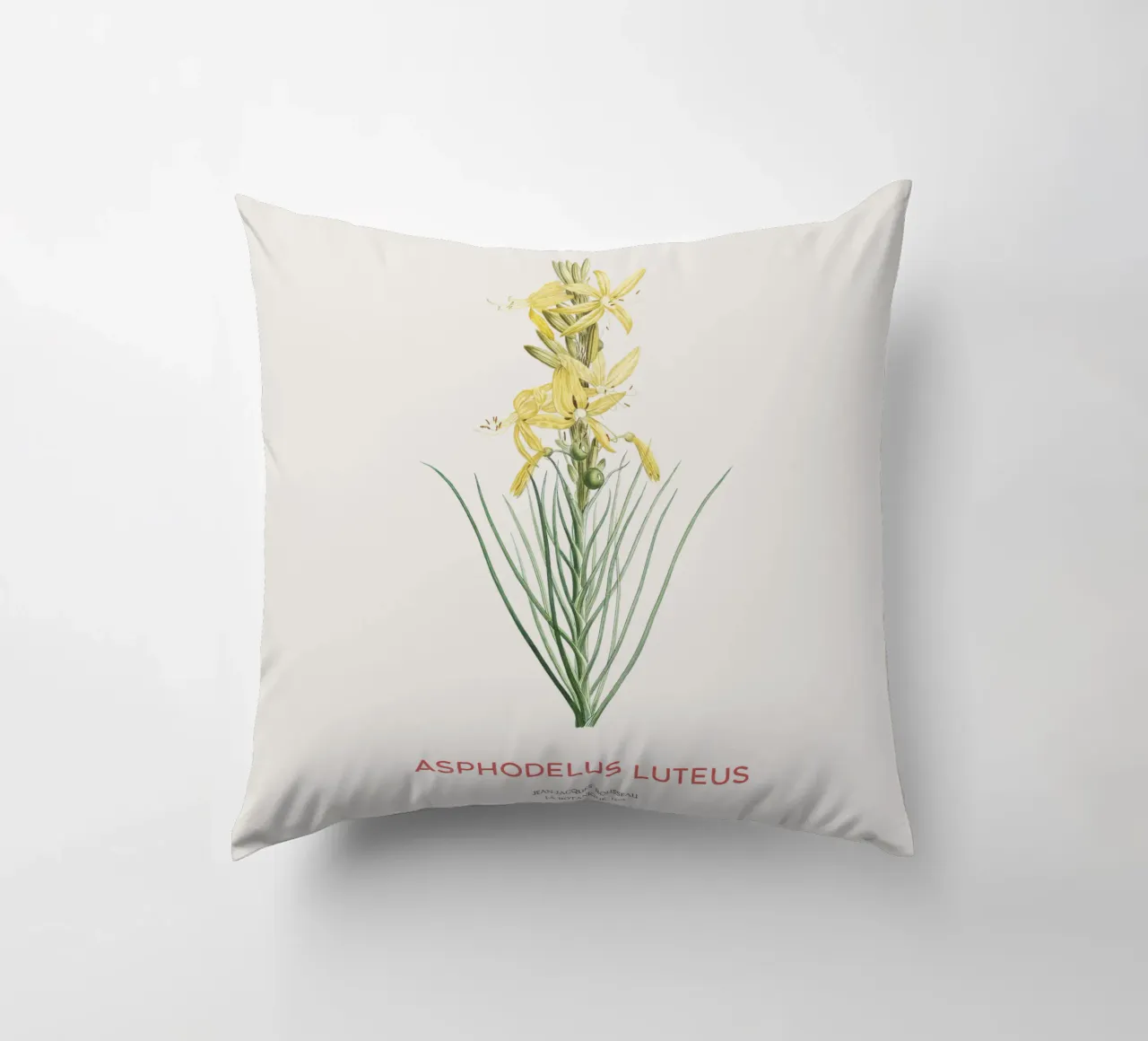 Lancia del re o Asphodeline lutea cuscino da Vintagrafica