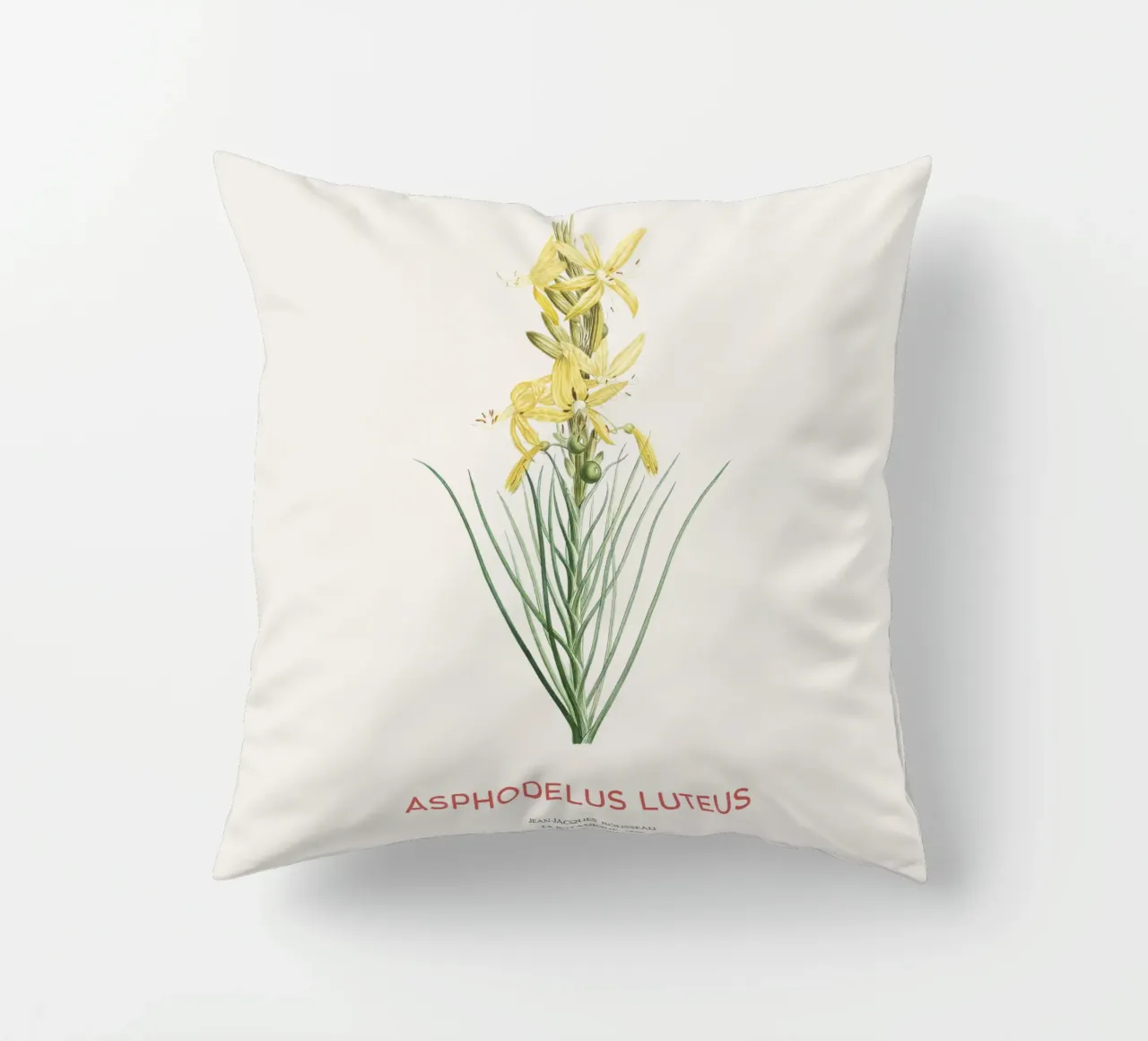 Lancia del re o Asphodeline lutea cuscino da Vintagrafica