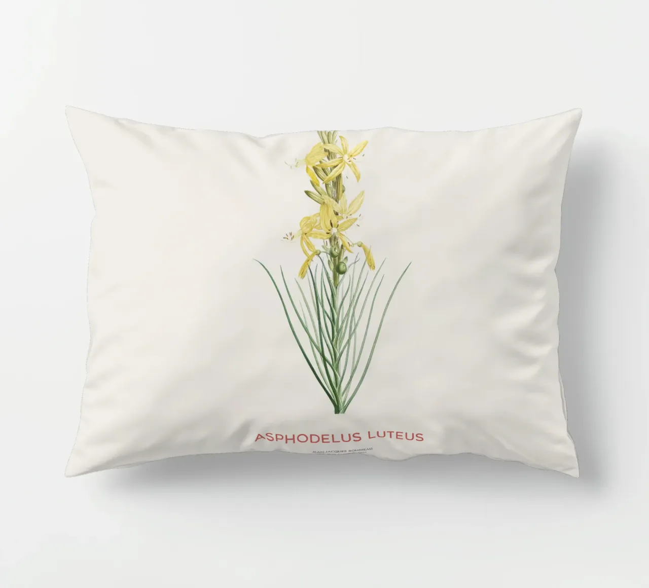 Lancia del re o Asphodeline lutea cuscino da Vintagrafica
