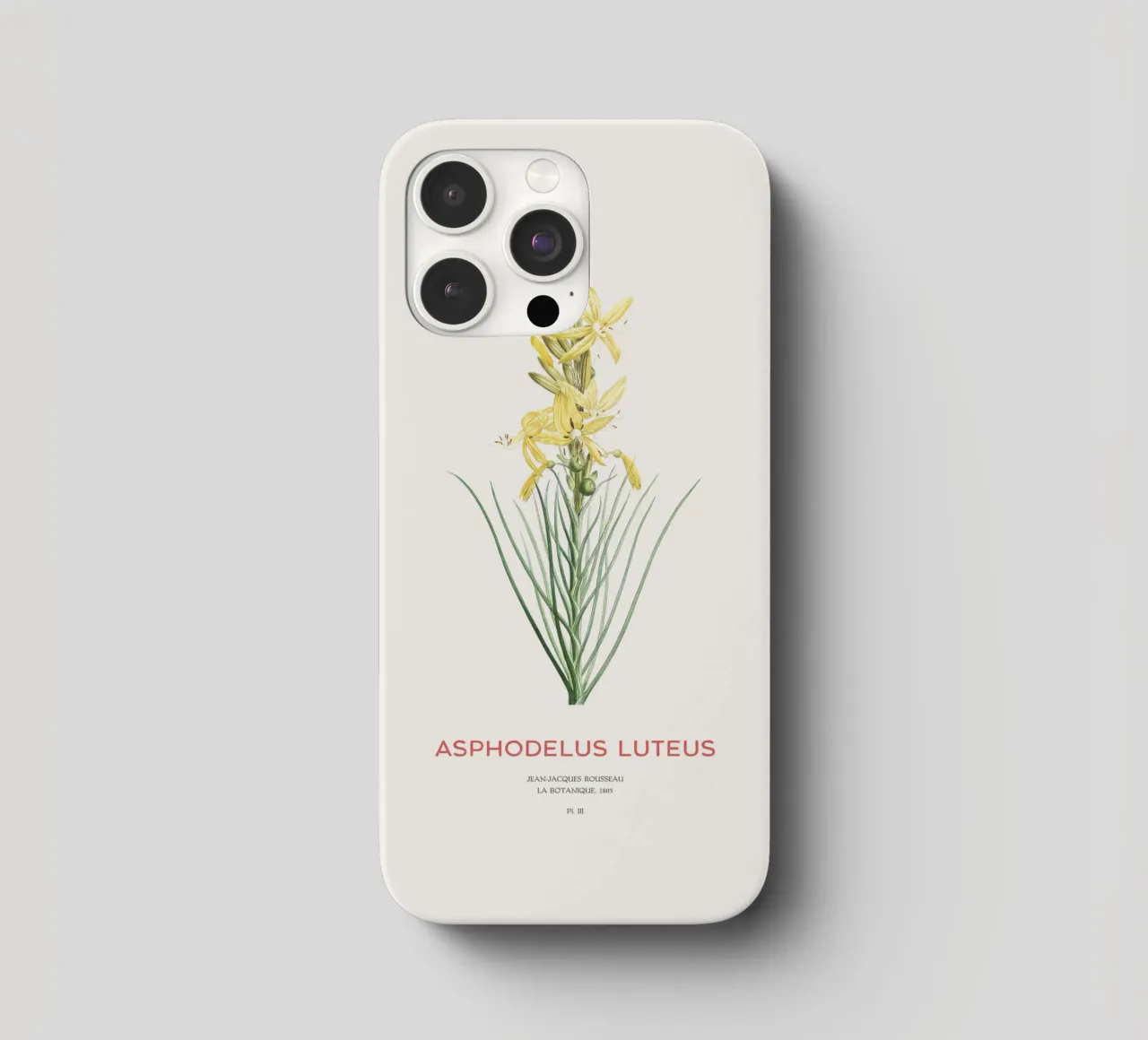 Königsspeer oder Asphodeline lutea iPhone Hülle von Vintagrafica