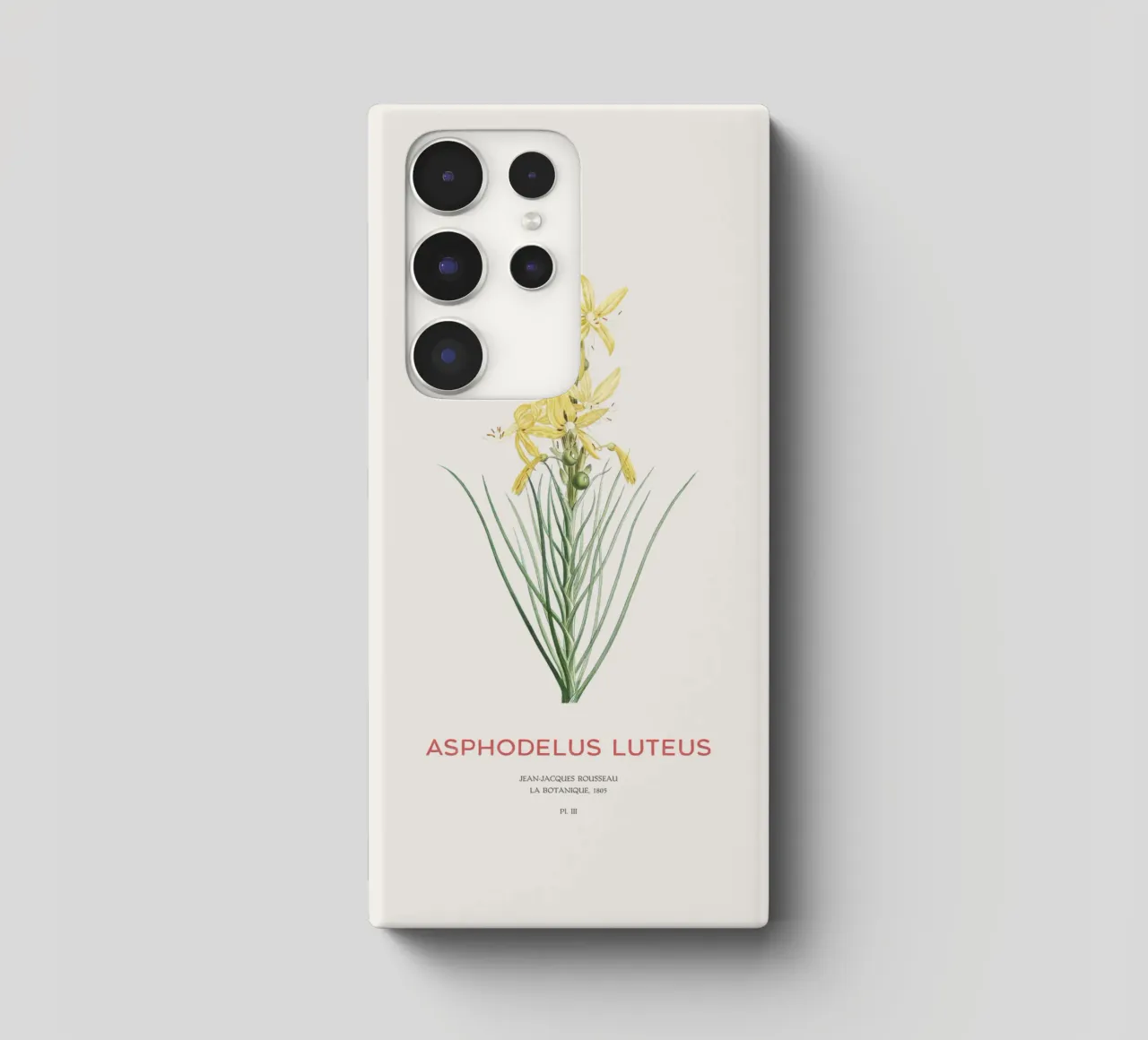 Königsspeer oder Asphodeline lutea Samsung Hülle von Vintagrafica