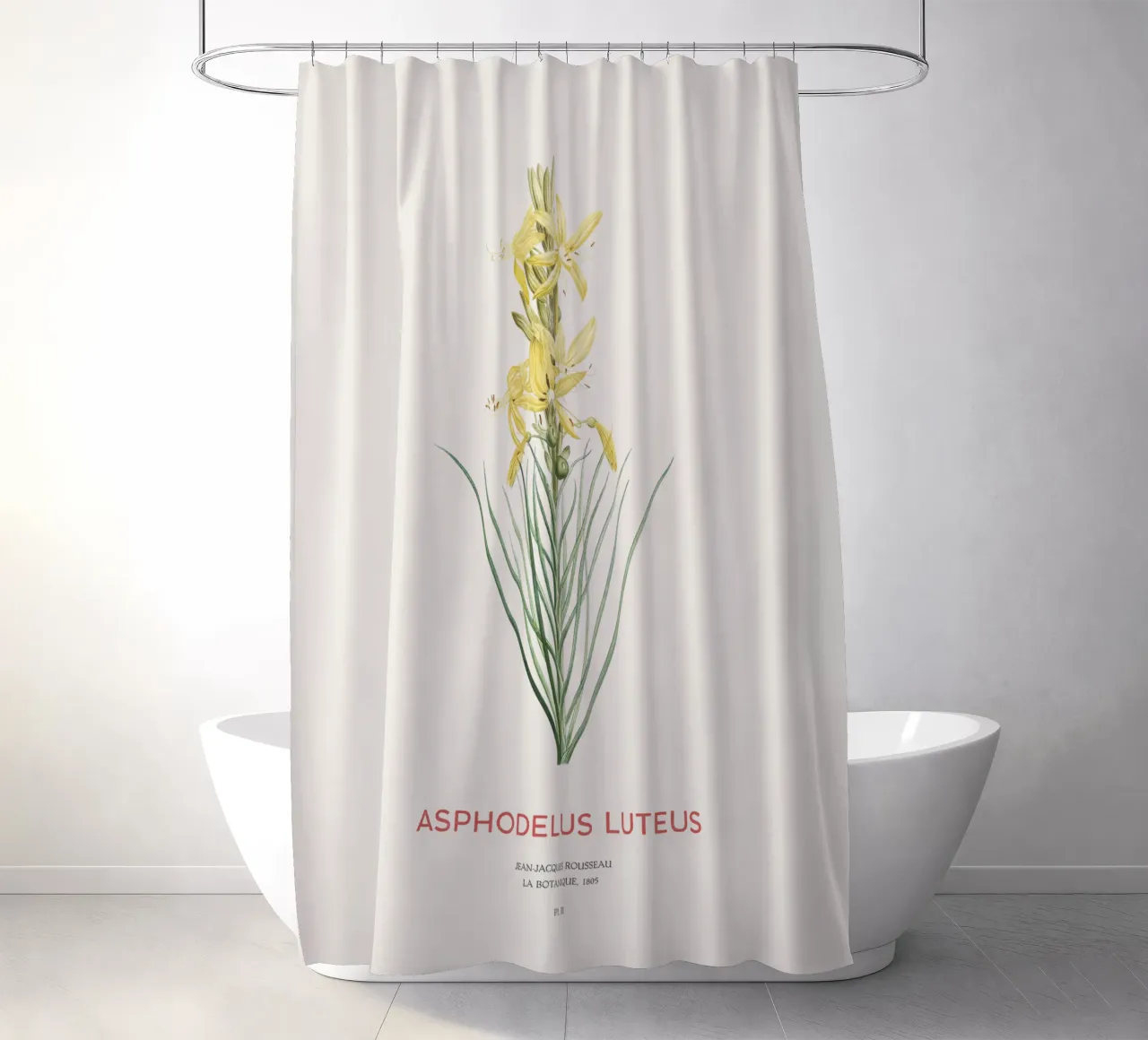 Königsspeer oder Asphodeline lutea Duschvorhang von Vintagrafica
