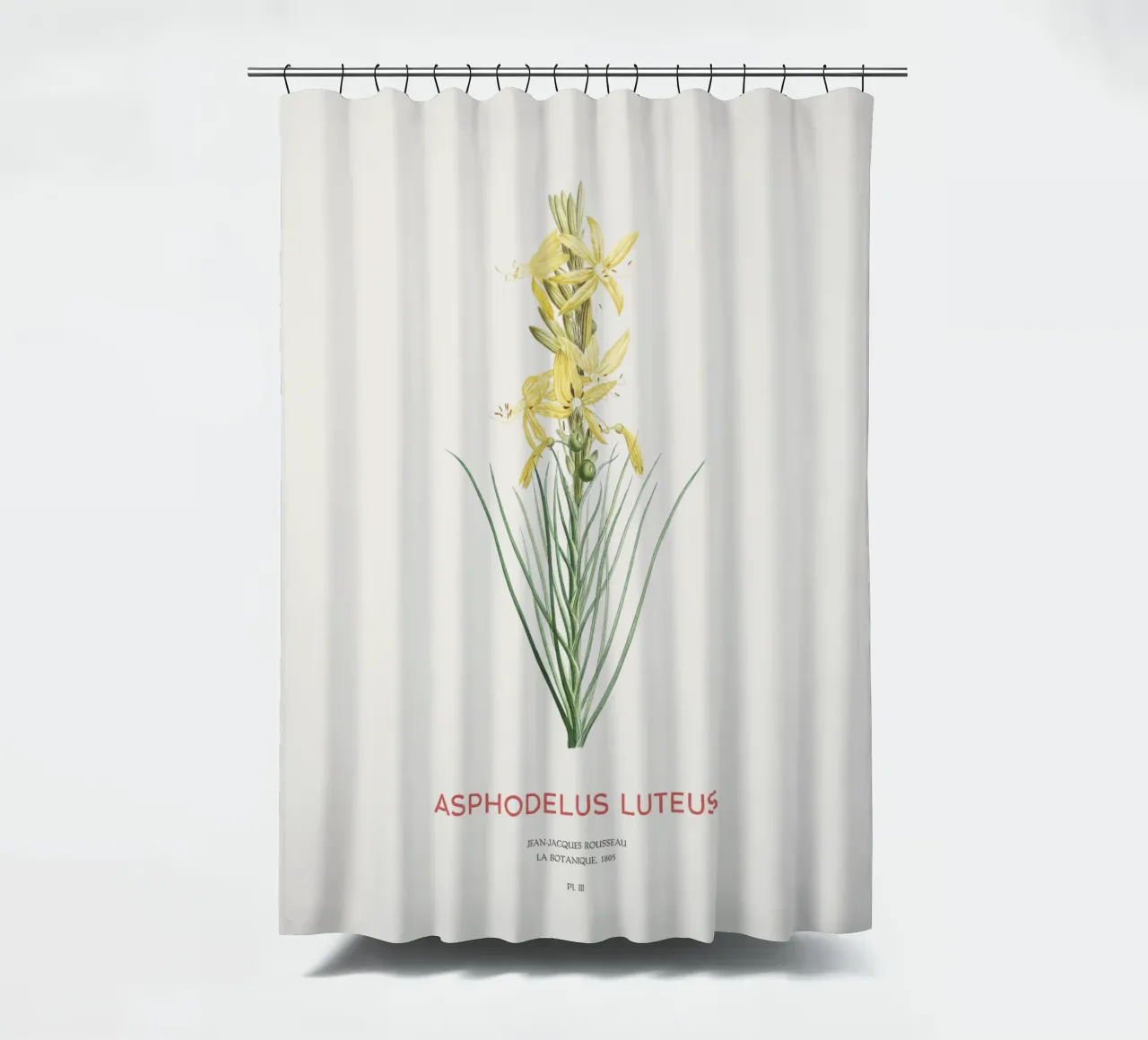 Königsspeer oder Asphodeline lutea Duschvorhang von Vintagrafica