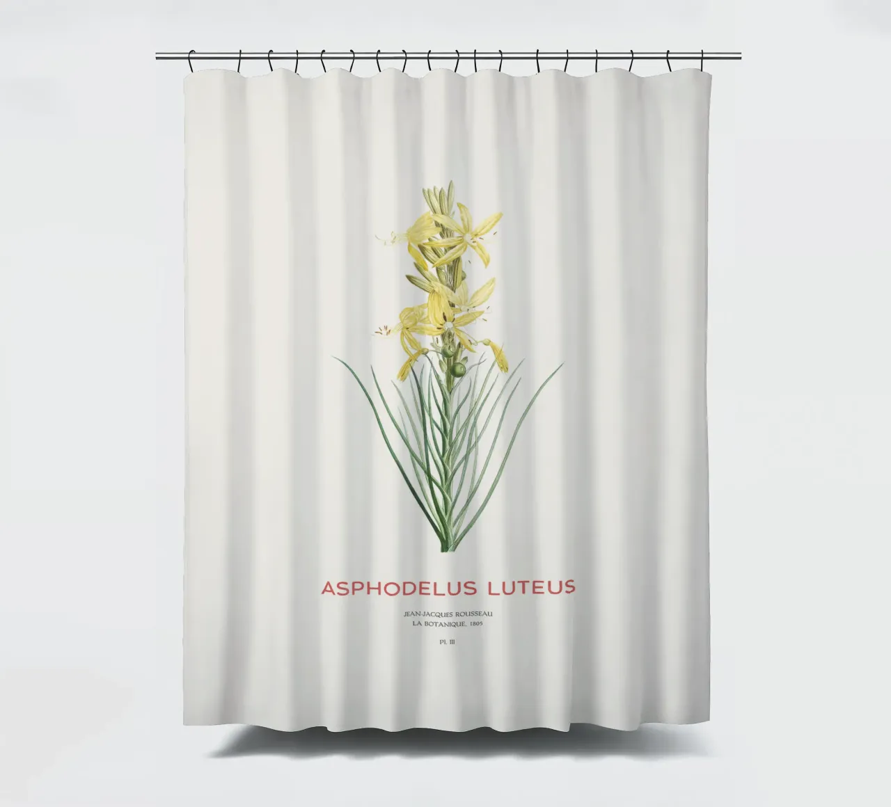 Königsspeer oder Asphodeline lutea Duschvorhang von Vintagrafica