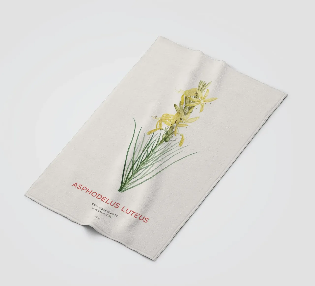 Königsspeer oder Asphodeline lutea Fleecedecke von Vintagrafica