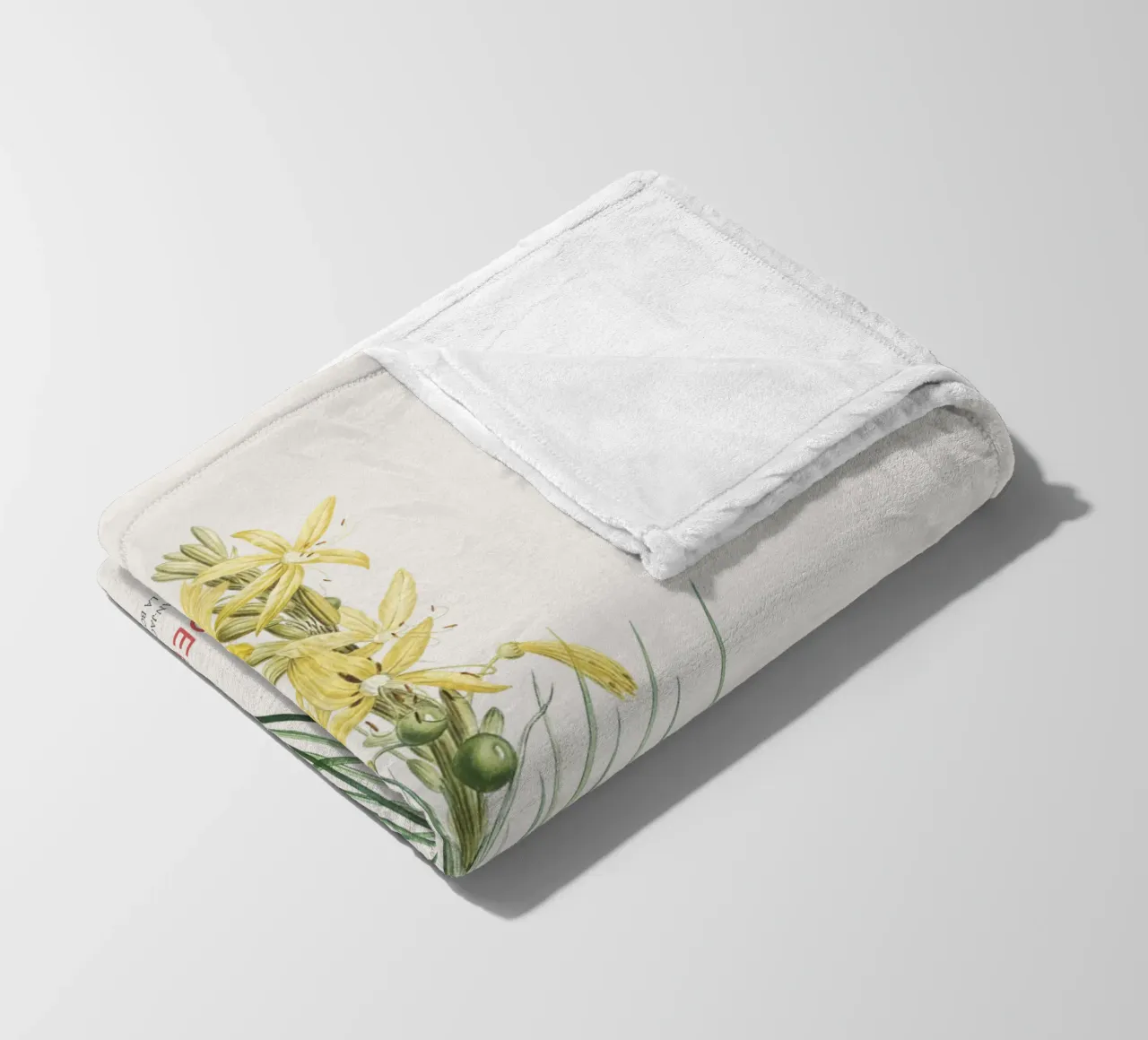 Königsspeer oder Asphodeline lutea Fleecedecke von Vintagrafica