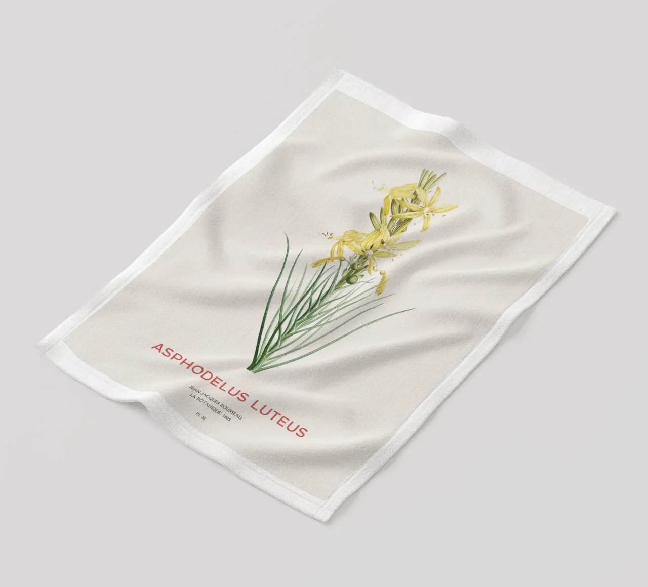 Königsspeer oder Asphodeline lutea Fleecedecke von Vintagrafica