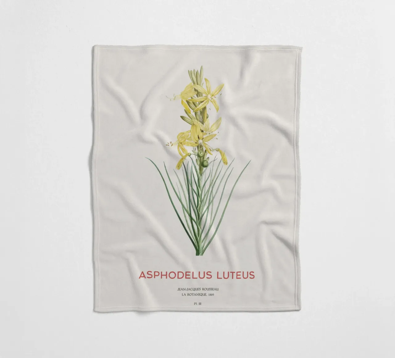 Königsspeer oder Asphodeline lutea Fleecedecke von Vintagrafica