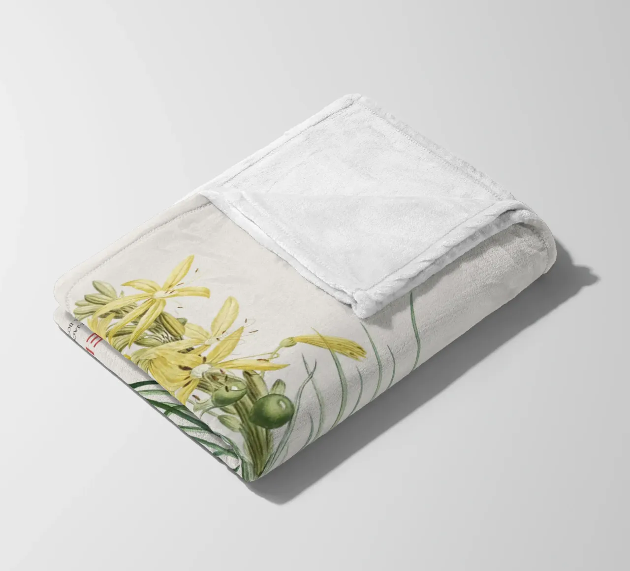 Königsspeer oder Asphodeline lutea Fleecedecke von Vintagrafica