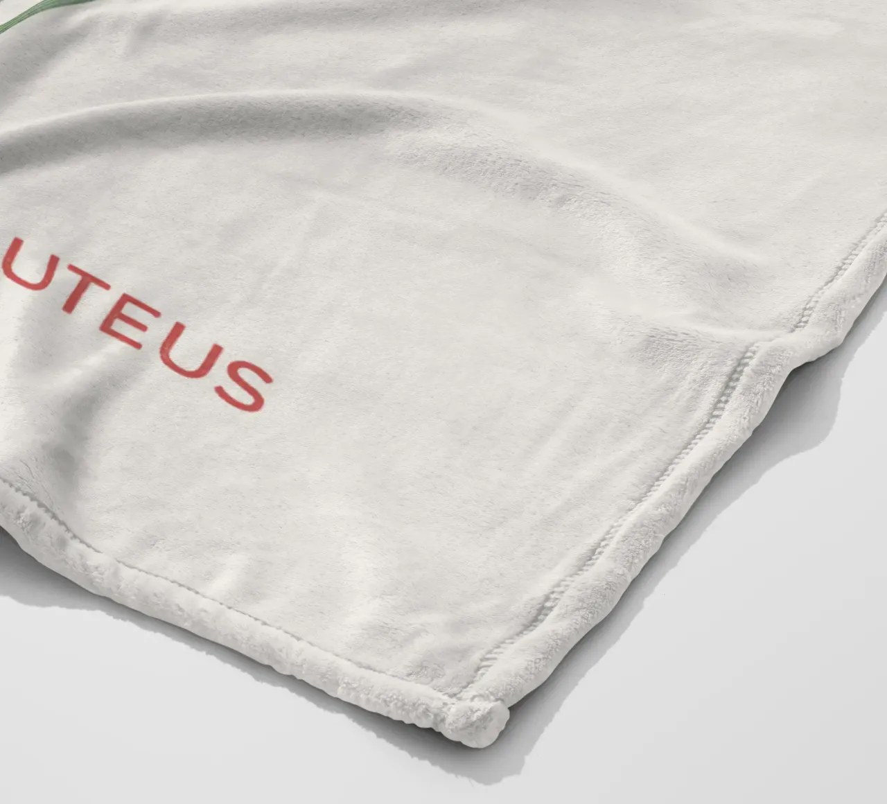 Königsspeer oder Asphodeline lutea Fleecedecke von Vintagrafica