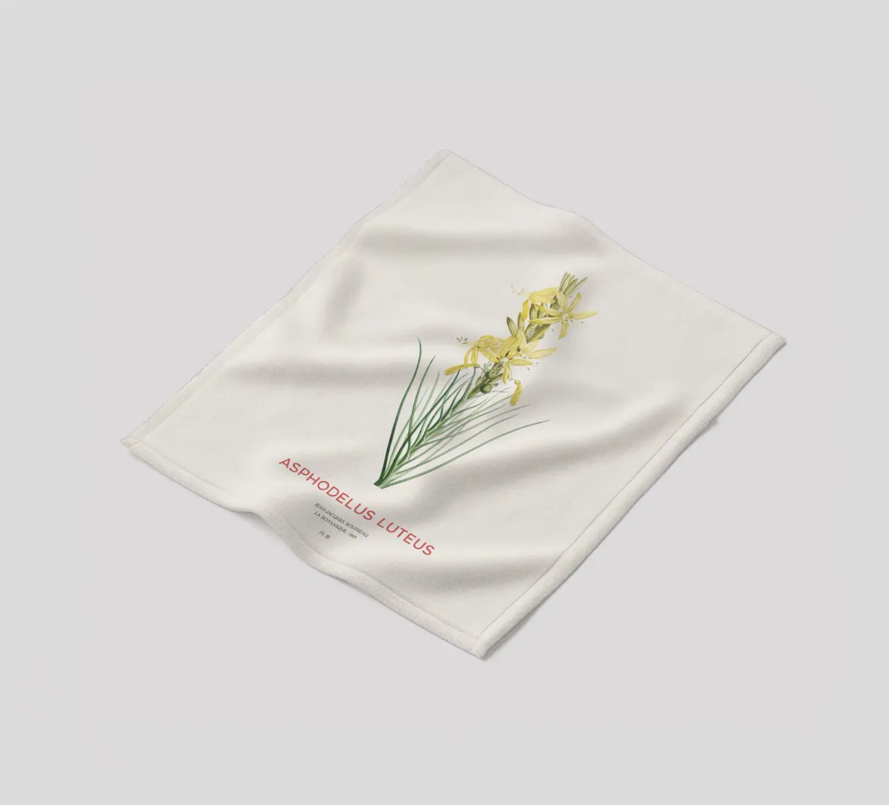 Königsspeer oder Asphodeline lutea Fleecedecke von Vintagrafica
