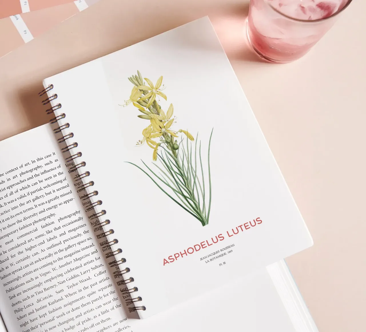 Königsspeer oder Asphodeline lutea Ringbuch von Vintagrafica