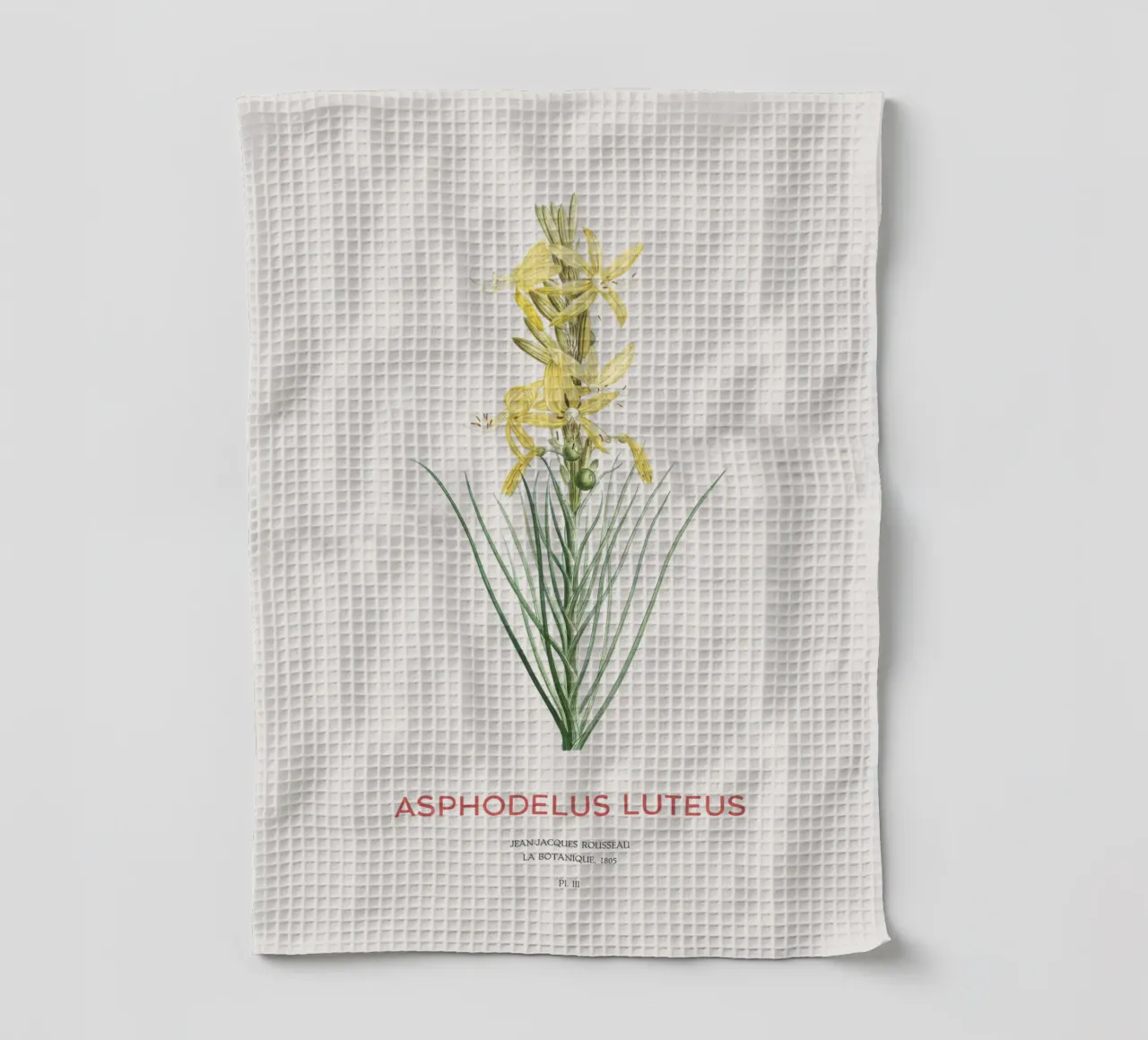 Königsspeer oder Asphodeline lutea Geschirrtuch von Vintagrafica