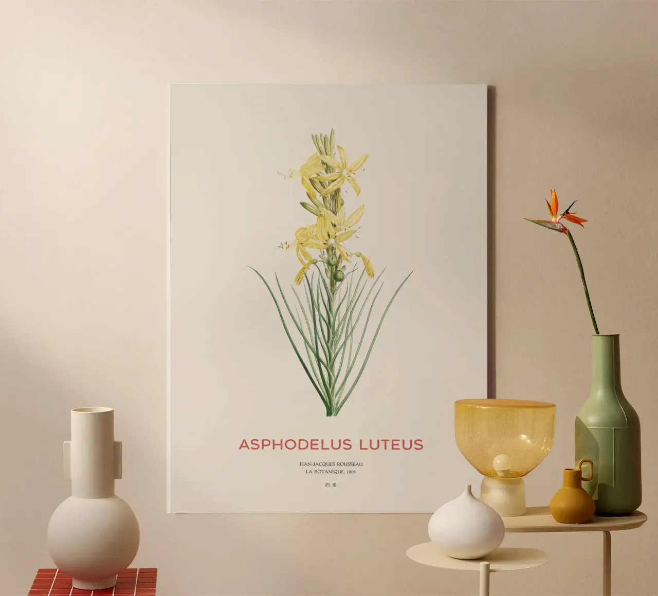 Königsspeer oder Asphodeline lutea Leinwand von Vintagrafica