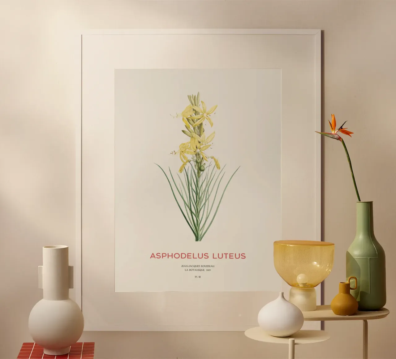 Königsspeer oder Asphodeline lutea Hahnemühle von Vintagrafica
