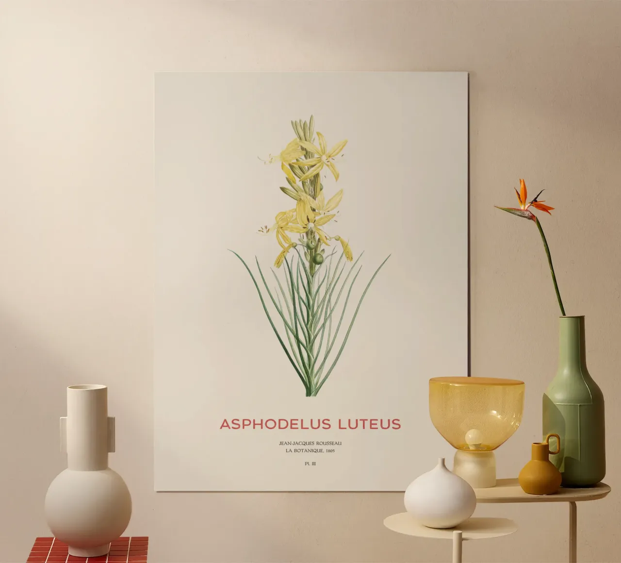 Königsspeer oder Asphodeline lutea Hahnemühle von Vintagrafica