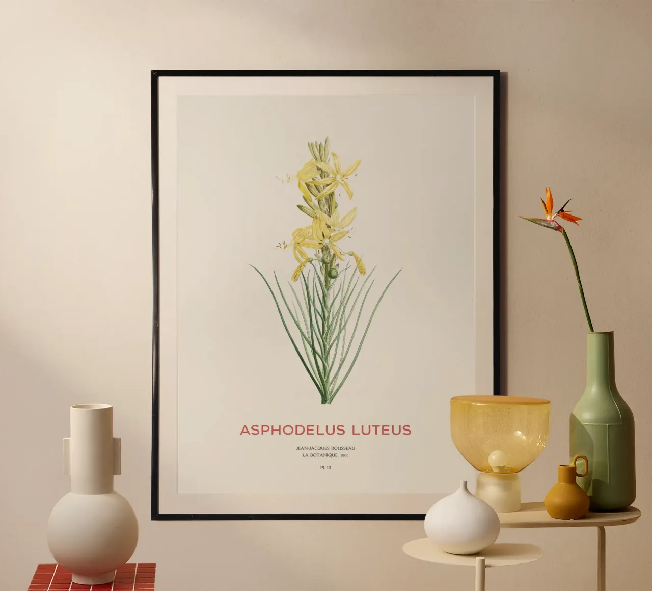 Königsspeer oder Asphodeline lutea Hahnemühle von Vintagrafica
