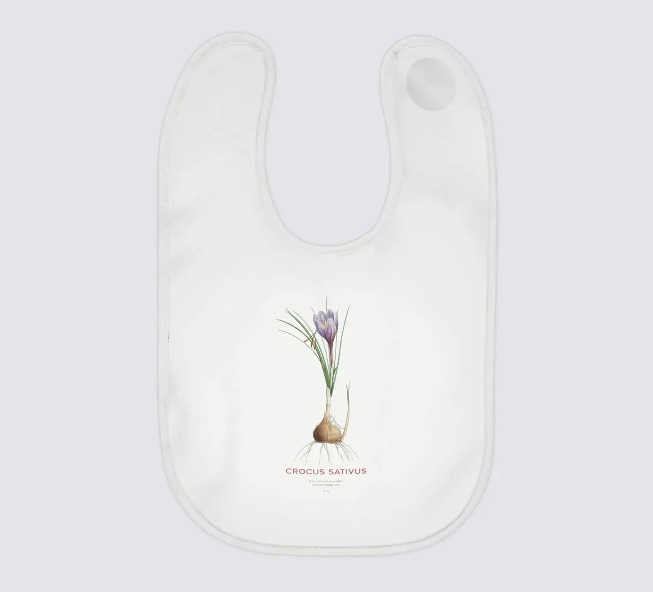 Zafferano croco o Crocus sativus bavaglino da Vintagrafica