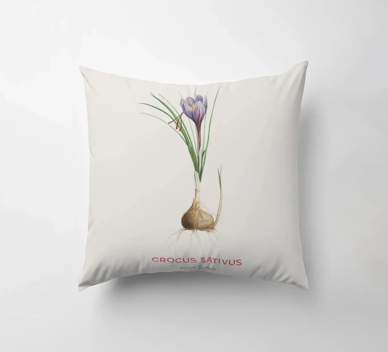 Zafferano croco o Crocus sativus cuscino da Vintagrafica