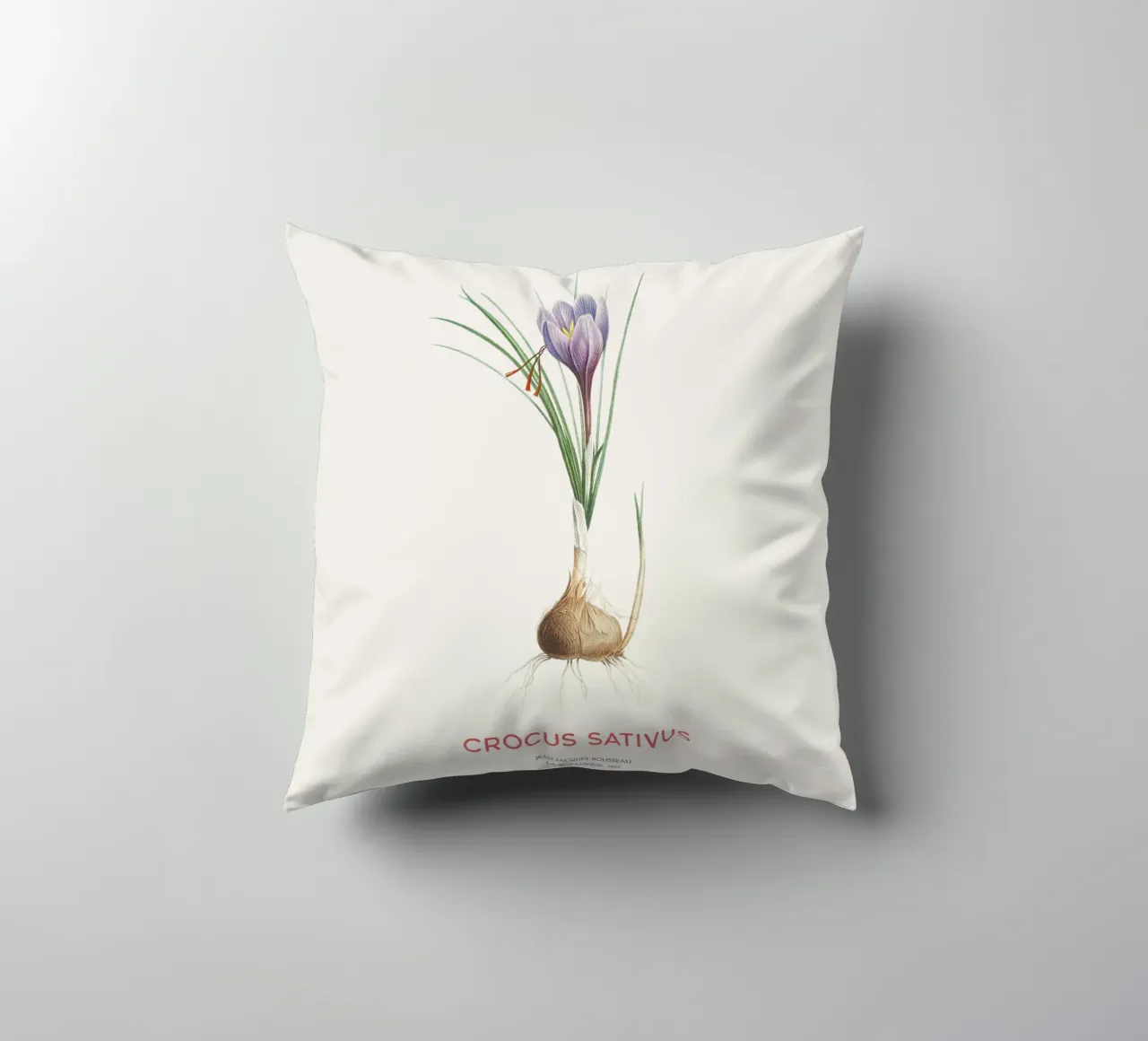 Zafferano croco o Crocus sativus cuscino da Vintagrafica
