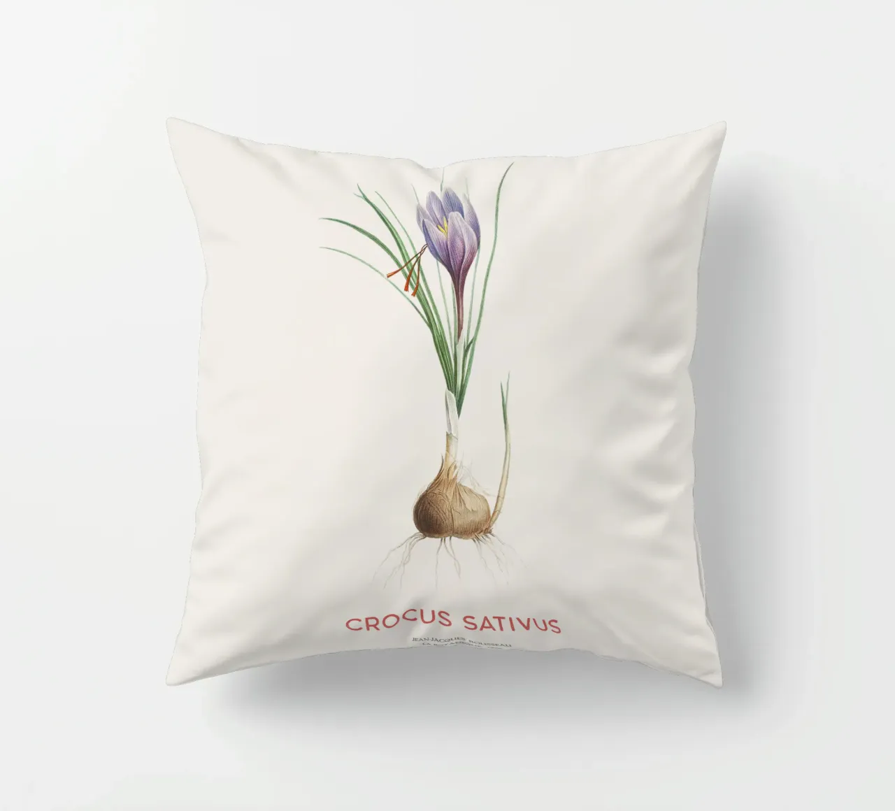Zafferano croco o Crocus sativus cuscino da Vintagrafica