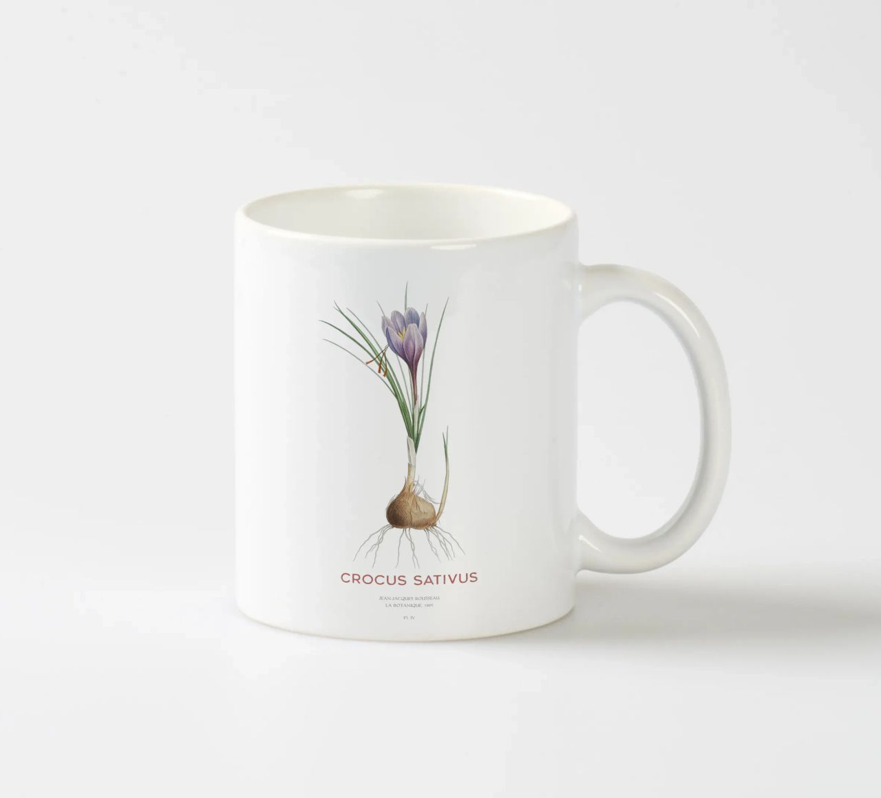 Zafferano croco o Crocus sativus tazza in ceramica da Vintagrafica