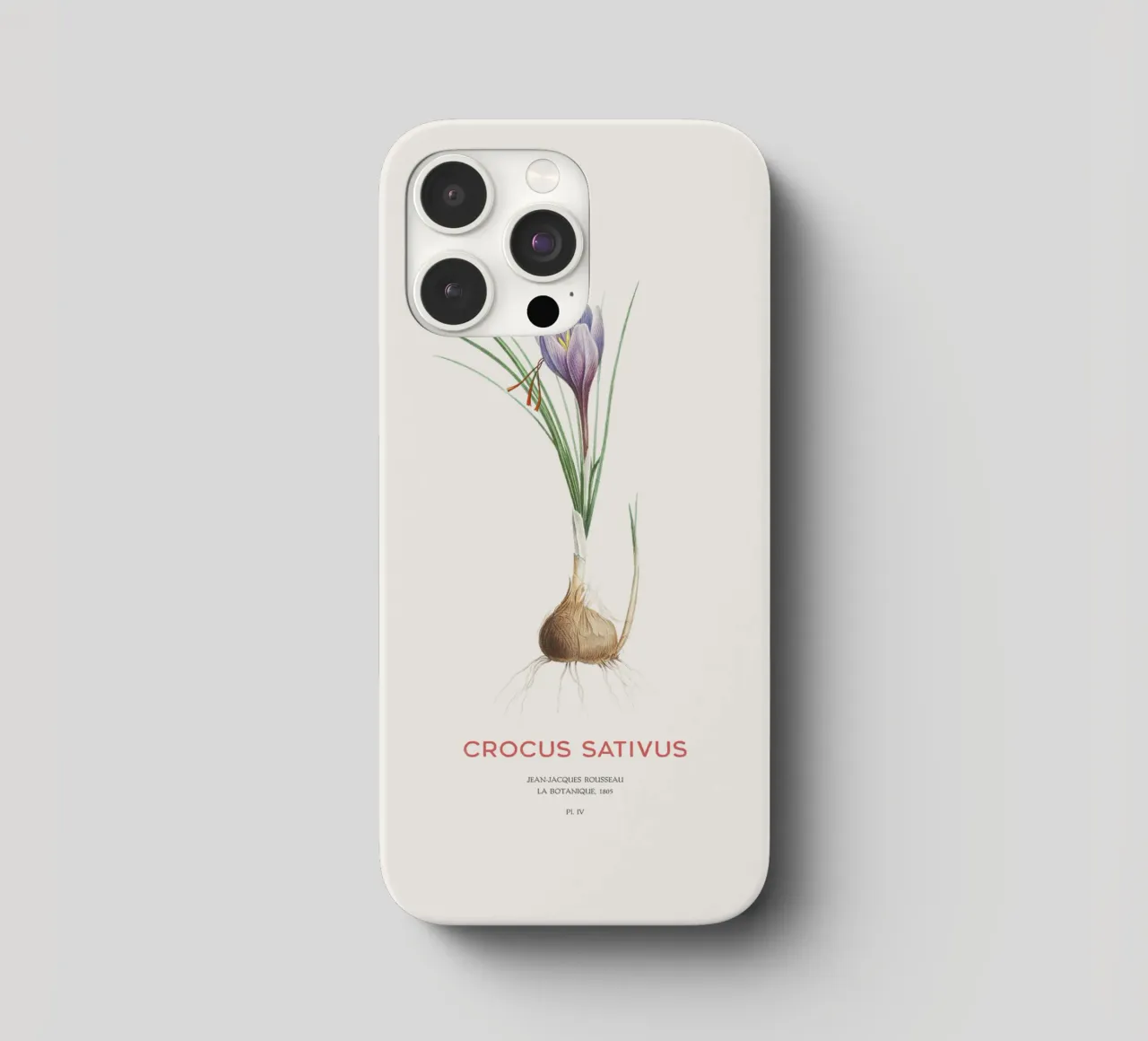 Safran-Krokus oder Crocus sativus iPhone Hülle von Vintagrafica
