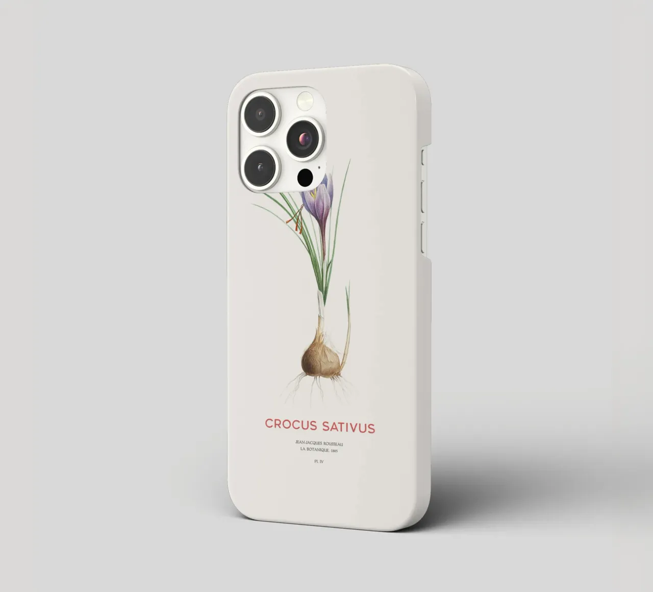 Safran-Krokus oder Crocus sativus iPhone Hülle von Vintagrafica
