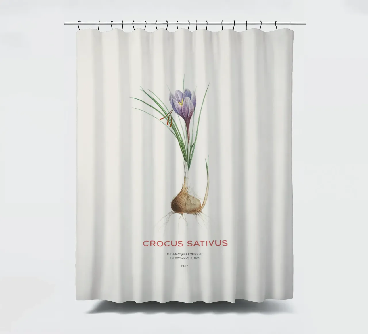 Safran-Krokus oder Crocus sativus Duschvorhang von Vintagrafica