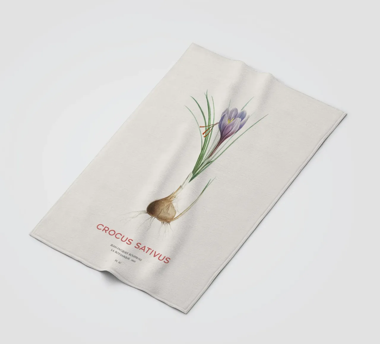 Safran-Krokus oder Crocus sativus Fleecedecke von Vintagrafica