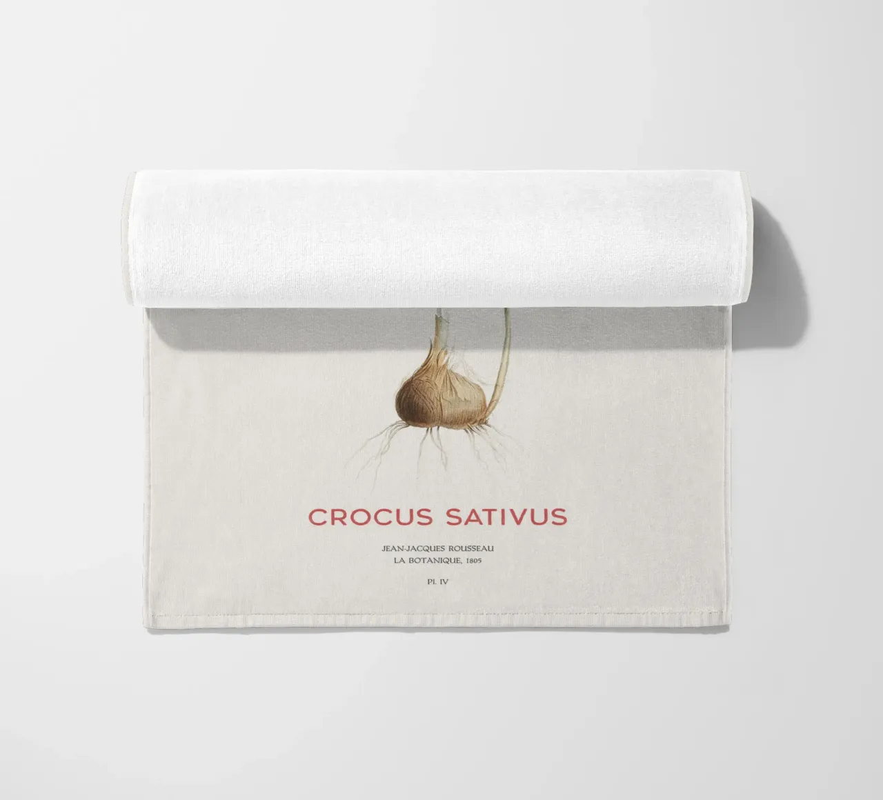 Zafferano croco o Crocus sativus telo mare da Vintagrafica