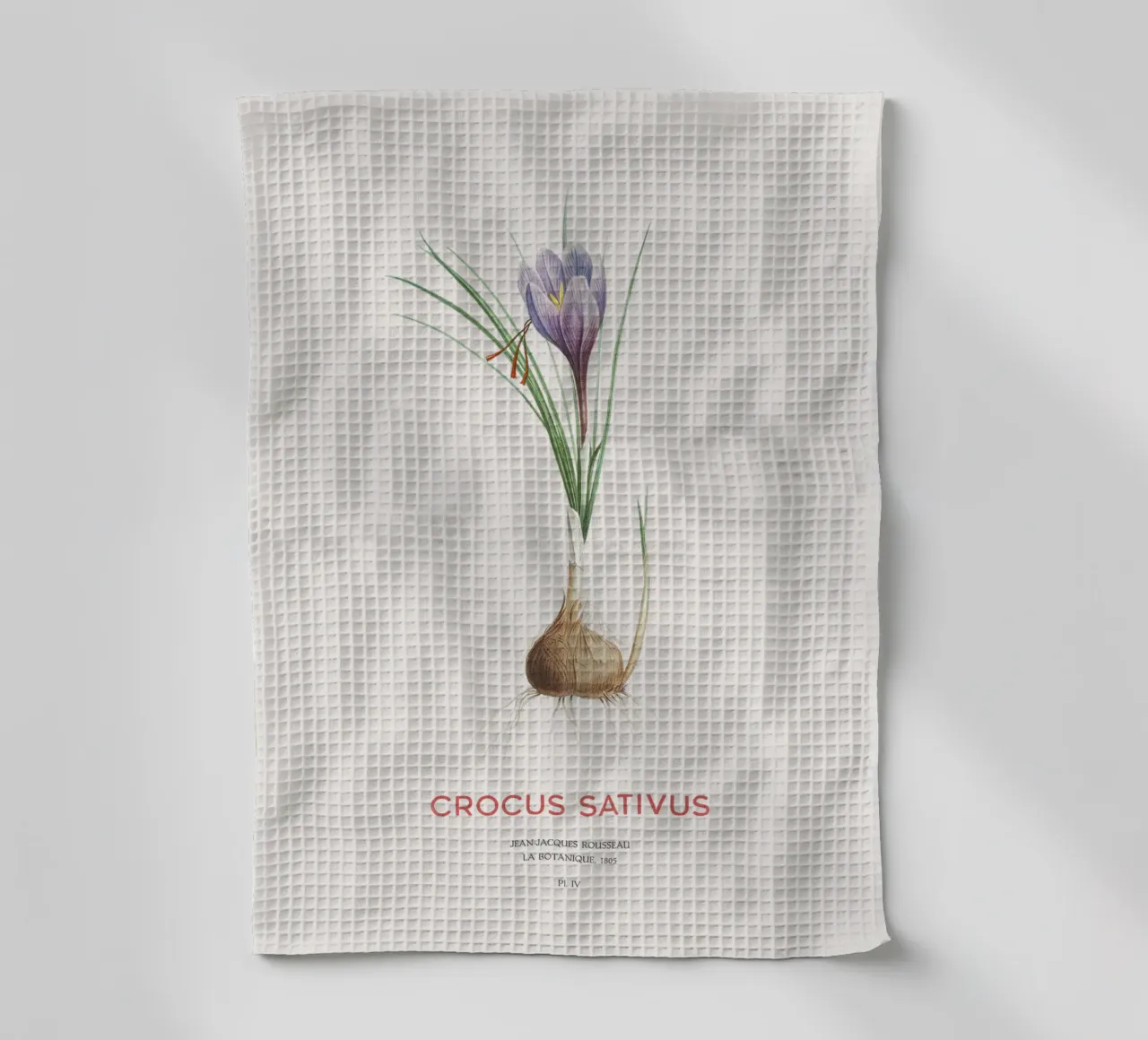 Safran-Krokus oder Crocus sativus Geschirrtuch von Vintagrafica