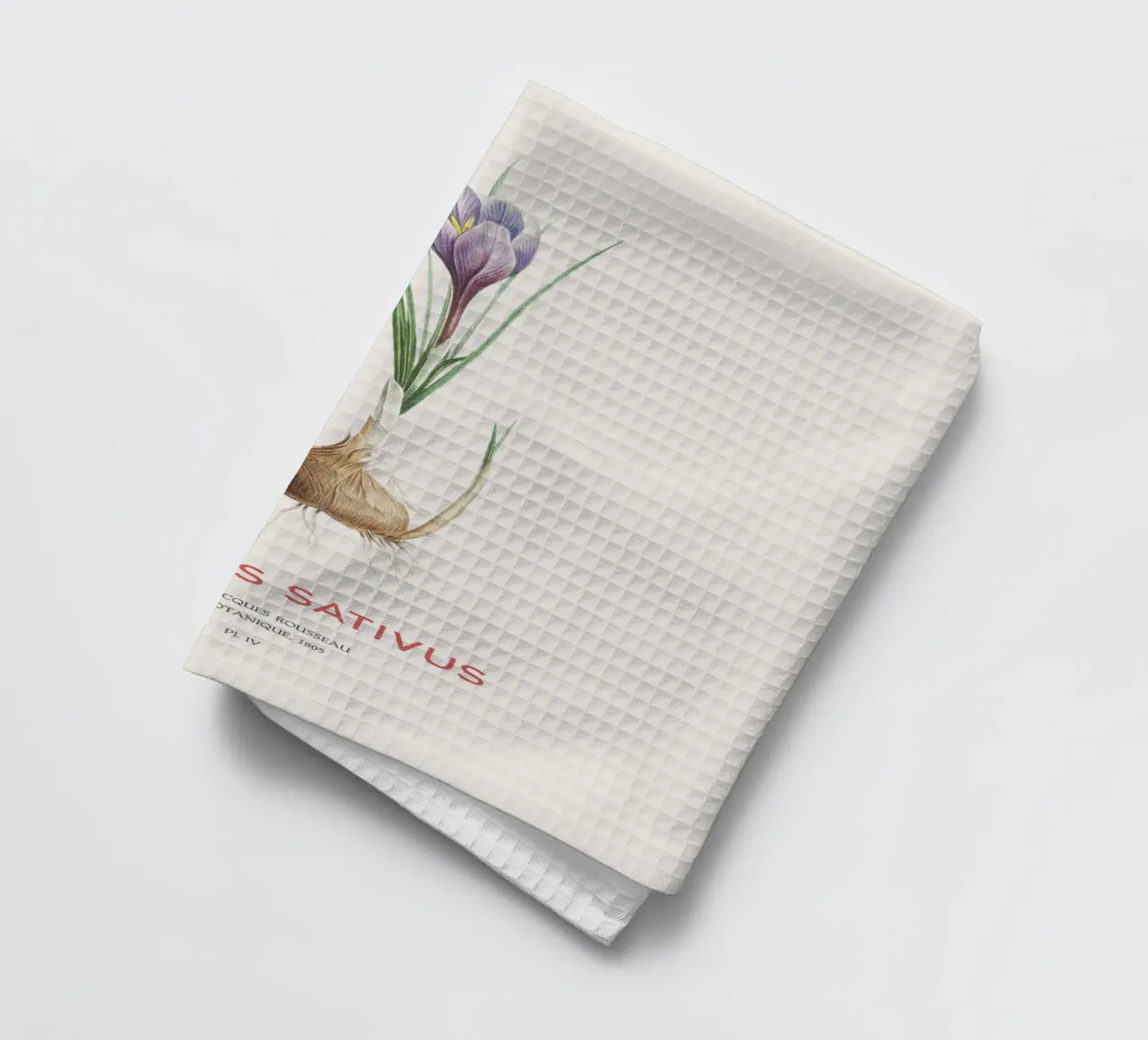 Safran-Krokus oder Crocus sativus Geschirrtuch von Vintagrafica