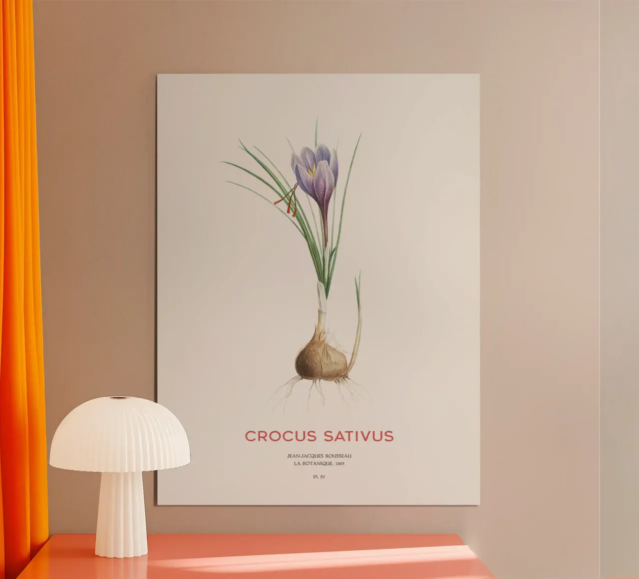 Saffraankrokus of Crocus sativus hahnemühle van Vintagrafica