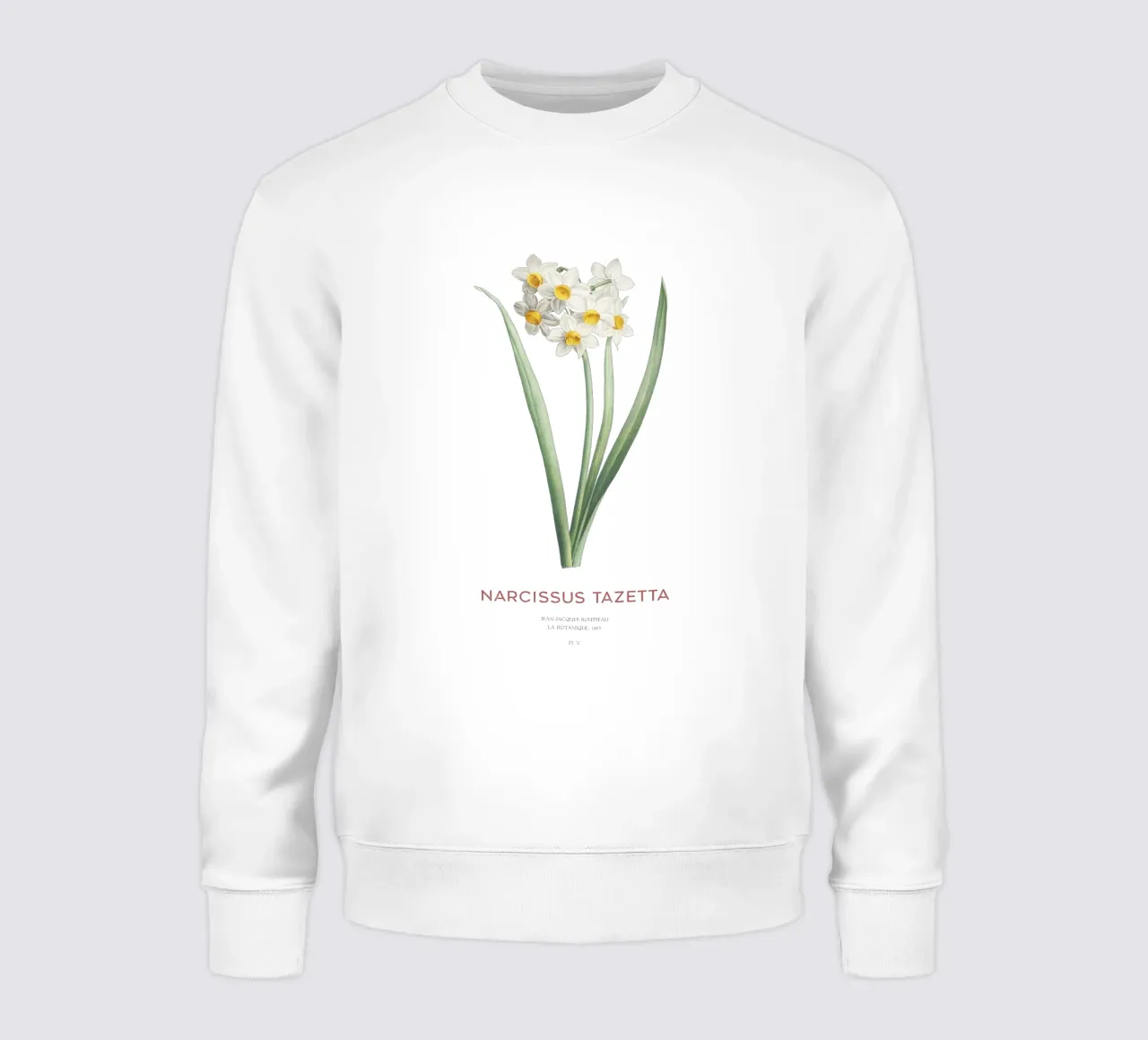 Narciso crema o Narcissus tazetta felpa da Vintagrafica