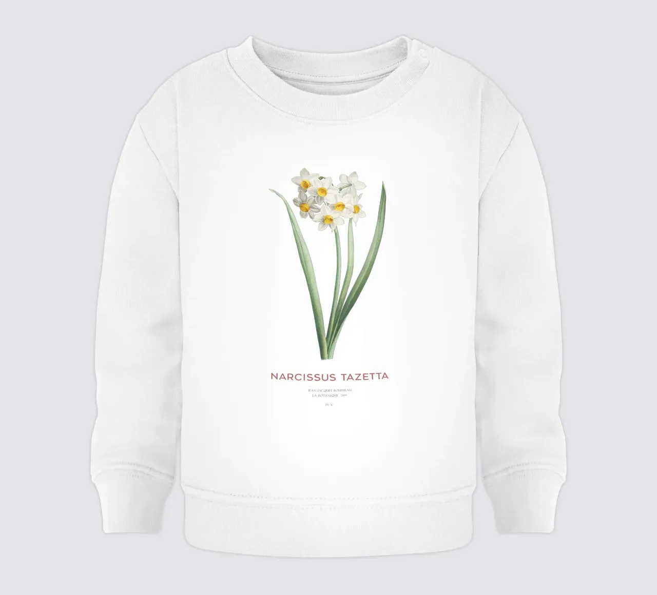 Narciso crema o Narcissus tazetta felpa neonato da Vintagrafica