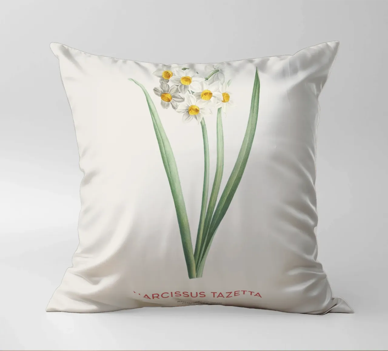 Narciso crema o Narcissus tazetta cuscino da Vintagrafica